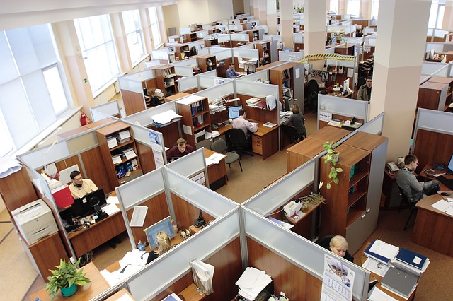 How To Create A High Performance Culture?