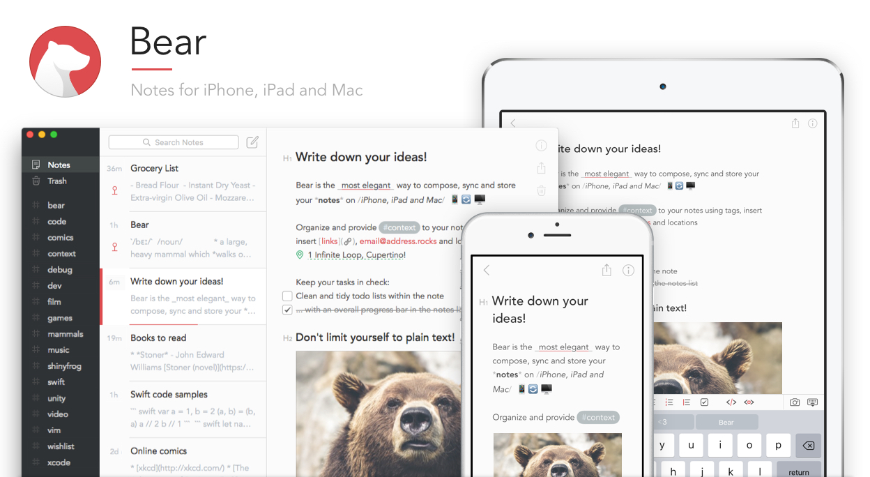 use bear notes instead of evernote