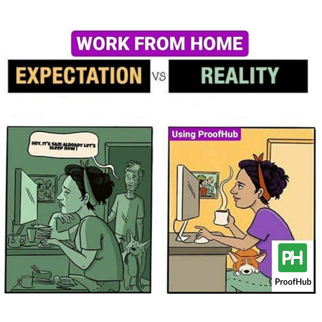 work from home expectation vs reality