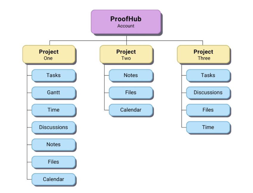 Project organization