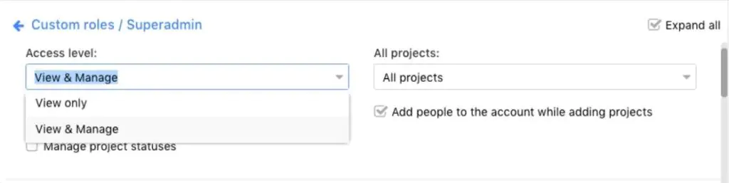 customer roles in ProofHub showing access level and permissions