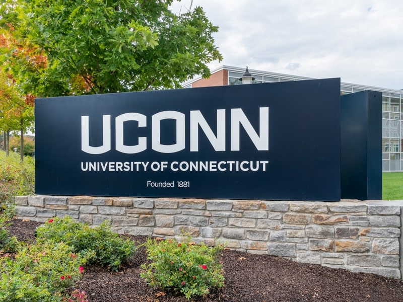 uconn- project management universities