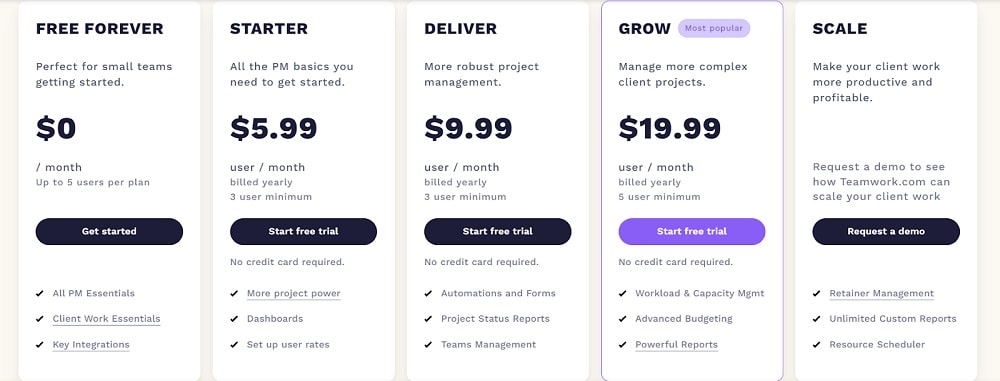TeamWork Pricing