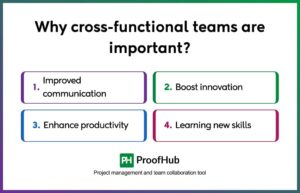 Cross-Functional Teams: Everything You Need to Know