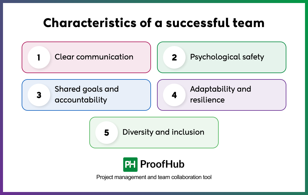 Characteristics of a successful team