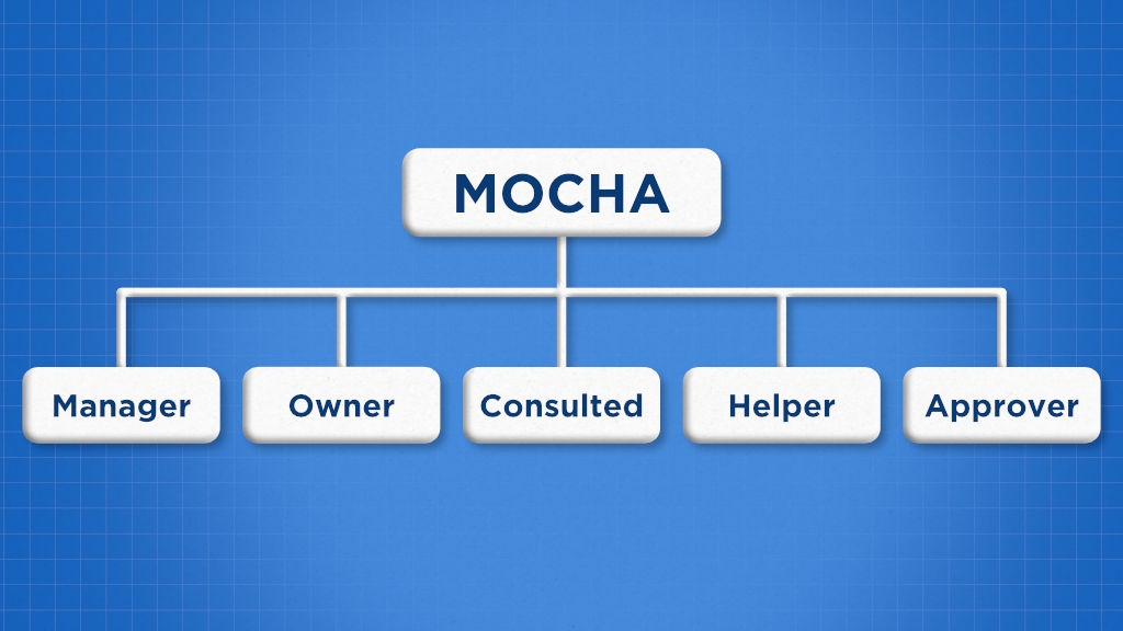 What is MOCHA in project management?