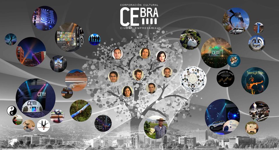 cebra