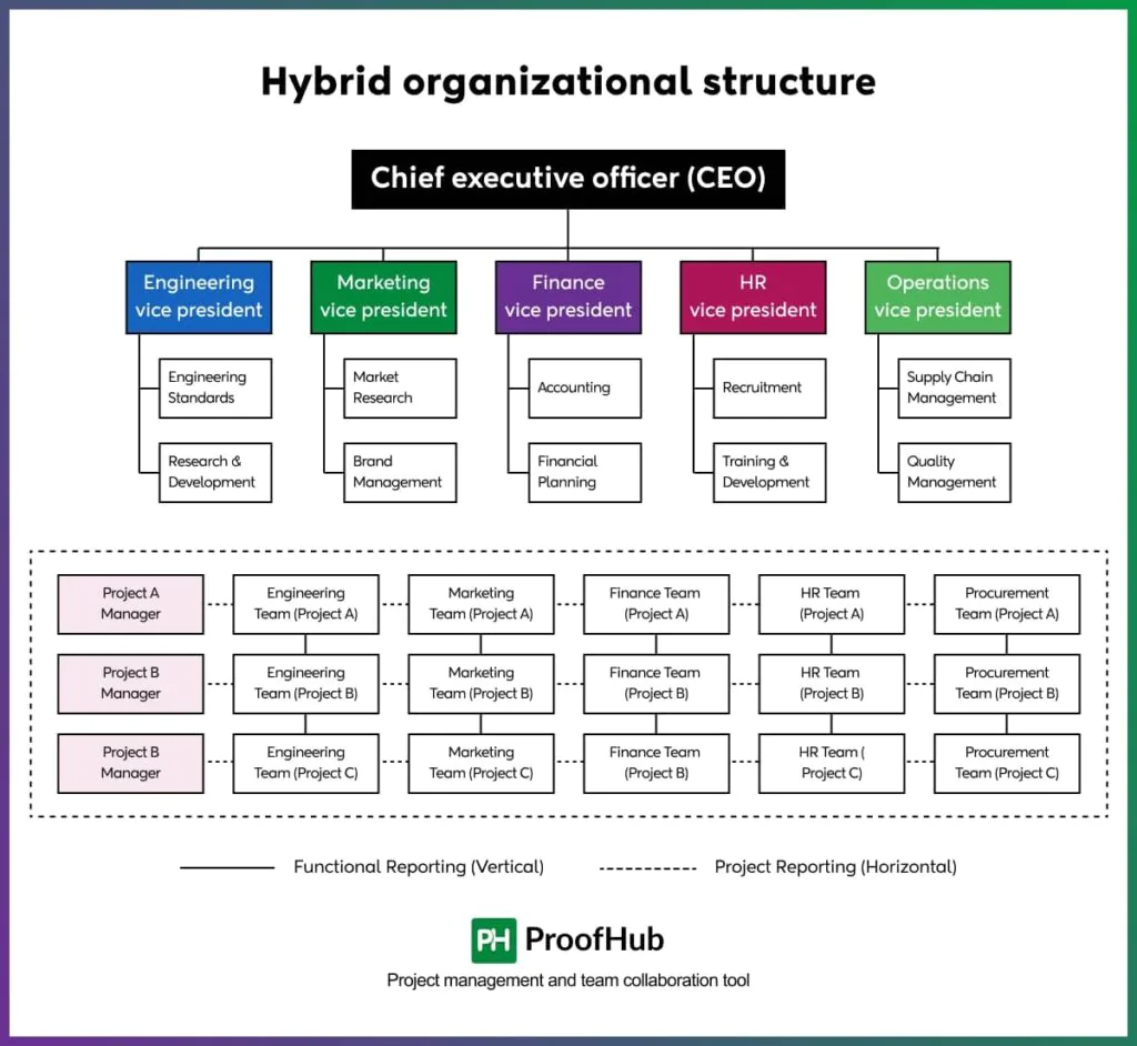 Hybrid Organizational Structure