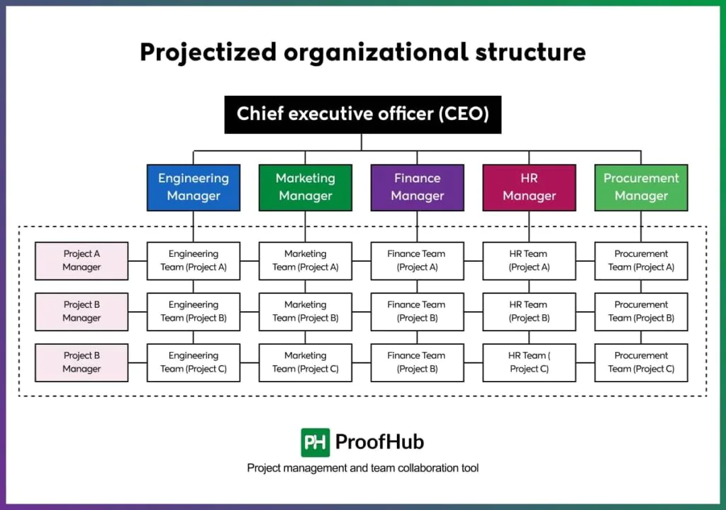 Projectized Organizational Structure